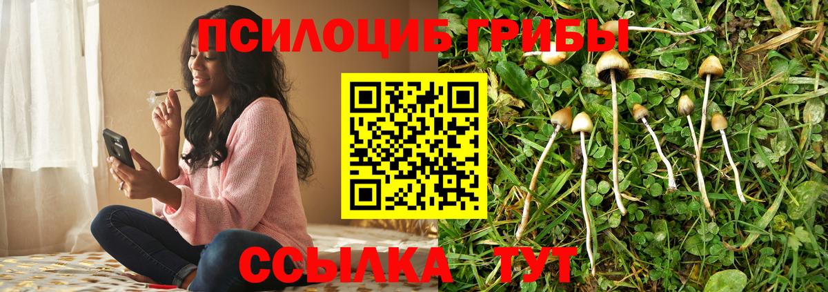 Долгопрудный  Галлюциногенные грибы MAGIC MUSHROOMS  Вход с VPN  Псилоцибиновые грибы Psilocybe 